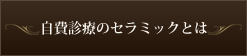 自費診療のセラミックとは